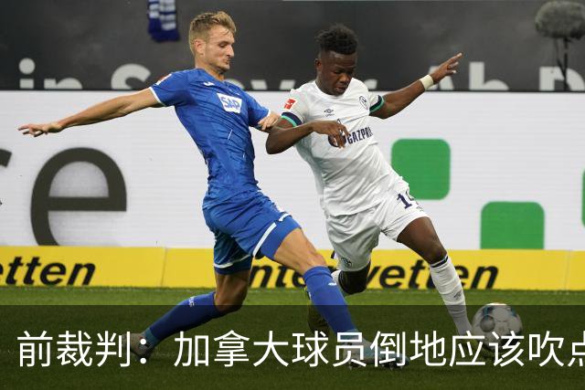 前裁判：加拿大球员倒地应该吹点球，VAR介不介入的标准不统一